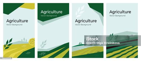 Agriculture Background Vector Images .